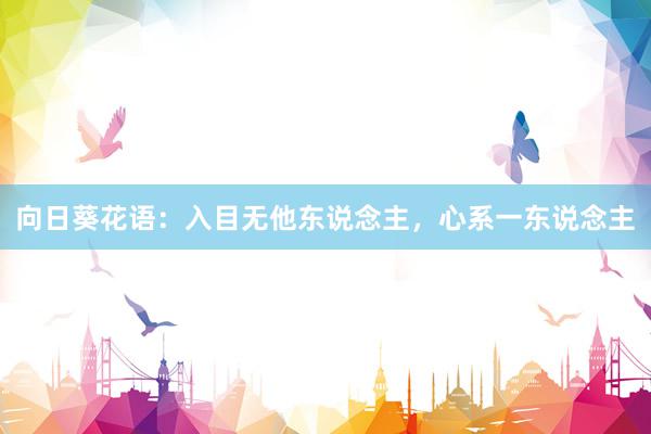 向日葵花语：入目无他东说念主，心系一东说念主